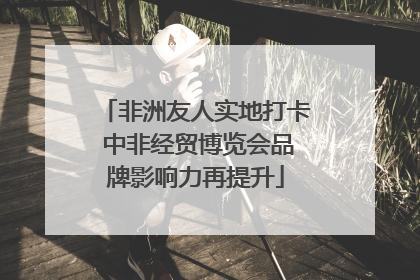 非洲友人实地打卡 中非经贸博览会品牌影响力再提升