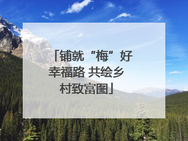 铺就“梅”好幸福路 共绘乡村致富图