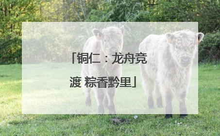 铜仁：龙舟竞渡 粽香黔里