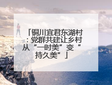 铜川宜君东湖村：党群共建让乡村从“一时美”变“持久美”