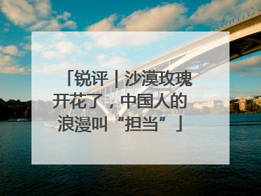 锐评｜沙漠玫瑰开花了，中国人的浪漫叫“担当”