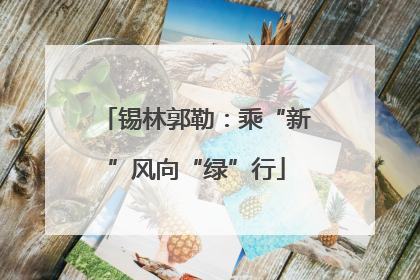 锡林郭勒：乘“新”风向“绿”行