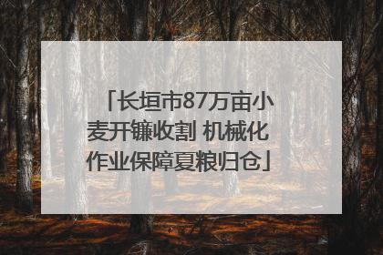 长垣市87万亩小麦开镰收割 机械化作业保障夏粮归仓