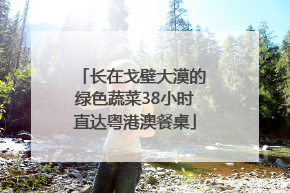 长在戈壁大漠的绿色蔬菜38小时直达粤港澳餐桌