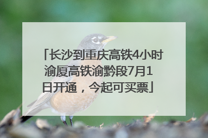长沙到重庆高铁4小时 渝厦高铁渝黔段7月1日开通，今起可买票