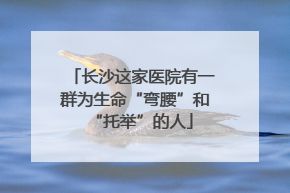 长沙这家医院有一群为生命“弯腰”和“托举”的人