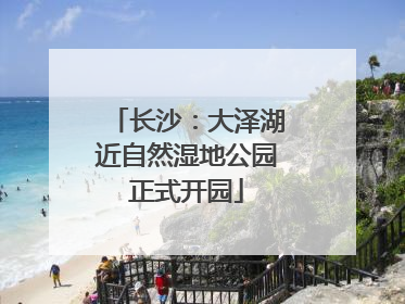 长沙：大泽湖近自然湿地公园正式开园