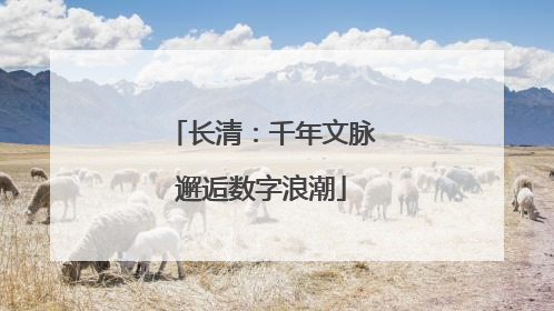 长清：千年文脉邂逅数字浪潮
