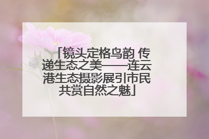 镜头定格鸟韵 传递生态之美——连云港生态摄影展引市民共赏自然之魅