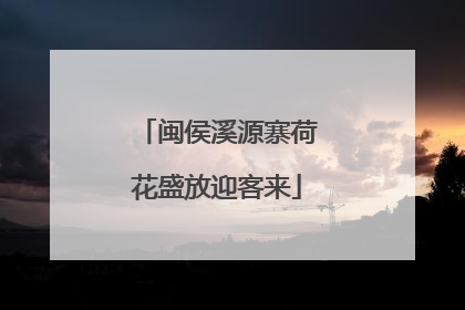 闽侯溪源寨荷花盛放迎客来