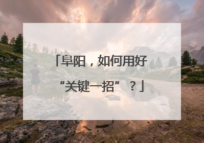 阜阳，如何用好“关键一招”？