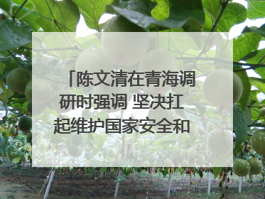 陈文清在青海调研时强调 坚决扛起维护国家安全和社会稳定职责使命 为谱写中国式现代化青海篇章贡献政法力量