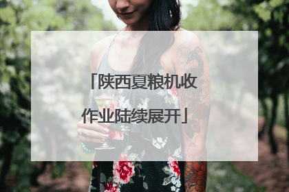 陕西夏粮机收作业陆续展开
