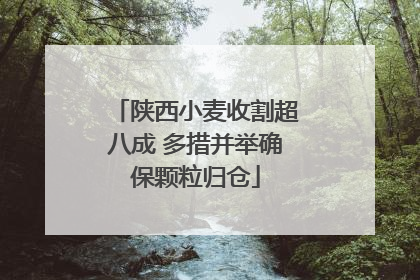 陕西小麦收割超八成 多措并举确保颗粒归仓