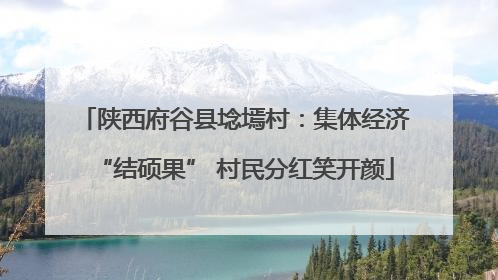 陕西府谷县埝墕村：集体经济“结硕果” 村民分红笑开颜