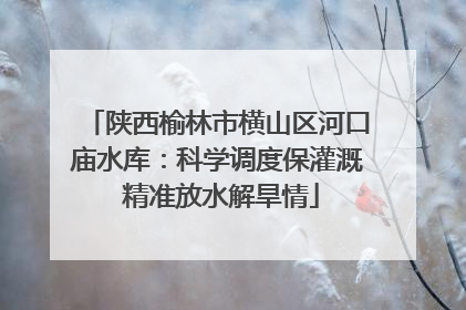 陕西榆林市横山区河口庙水库：科学调度保灌溉 精准放水解旱情