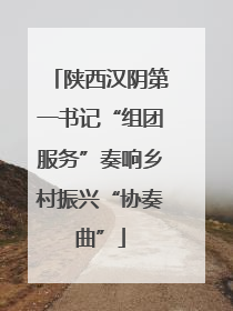 陕西汉阴第一书记“组团服务”奏响乡村振兴“协奏曲”