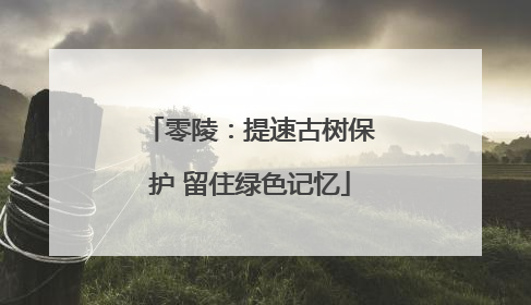 零陵：提速古树保护 留住绿色记忆