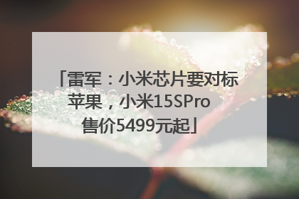 雷军：小米芯片要对标苹果，小米15SPro售价5499元起