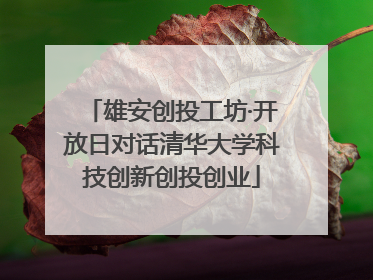雄安创投工坊·开放日对话清华大学科技创新创投创业
