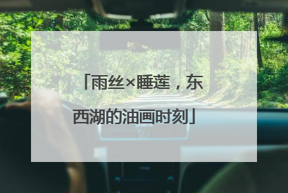 雨丝×睡莲，东西湖的油画时刻