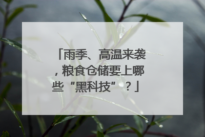雨季、高温来袭，粮食仓储要上哪些“黑科技”？