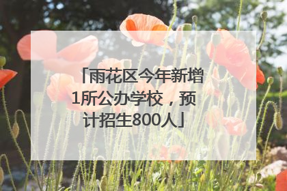 雨花区今年新增1所公办学校，预计招生800人