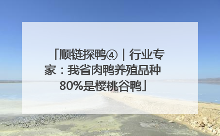 顺链探鸭④｜行业专家：我省肉鸭养殖品种80%是樱桃谷鸭