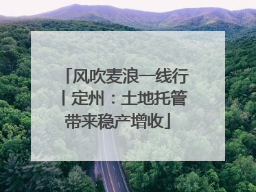 风吹麦浪一线行丨定州：土地托管带来稳产增收