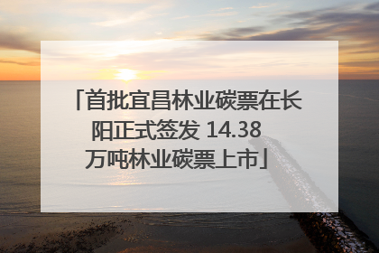 首批宜昌林业碳票在长阳正式签发 14.38万吨林业碳票上市