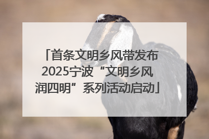 首条文明乡风带发布 2025宁波“文明乡风润四明”系列活动启动