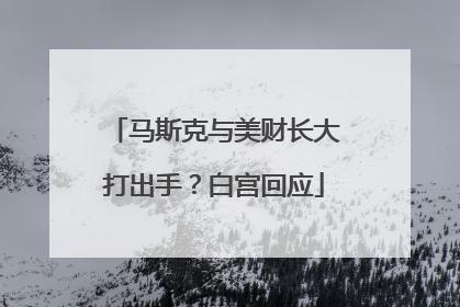 马斯克与美财长大打出手？白宫回应