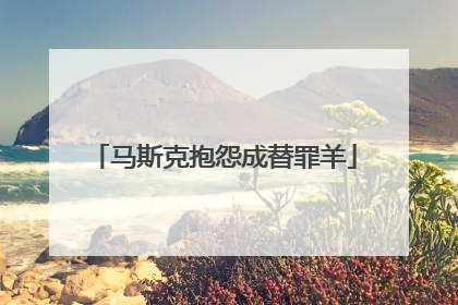 马斯克抱怨成替罪羊
