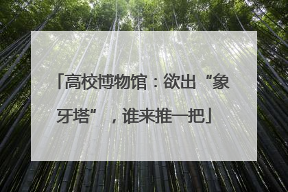 高校博物馆：欲出“象牙塔”，谁来推一把