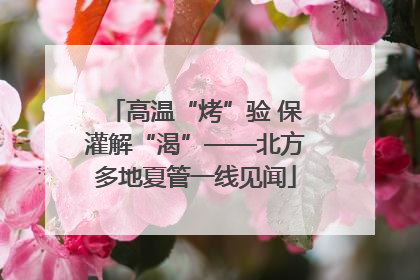 高温“烤”验 保灌解“渴”——北方多地夏管一线见闻