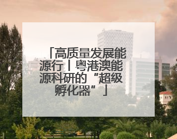 高质量发展能源行丨粤港澳能源科研的“超级孵化器”