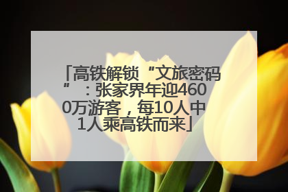 高铁解锁“文旅密码”：张家界年迎4600万游客，每10人中1人乘高铁而来
