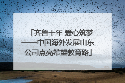 齐鲁十年 爱心筑梦——中国海外发展山东公司点亮希望教育路