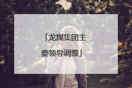 龙煤集团主要领导调整