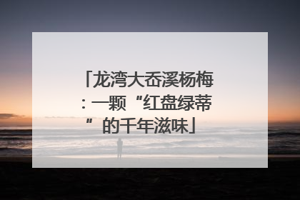 龙湾大岙溪杨梅：一颗“红盘绿蒂”的千年滋味