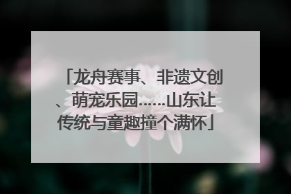 龙舟赛事、非遗文创、萌宠乐园……山东让传统与童趣撞个满怀