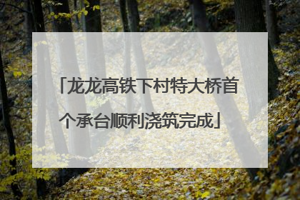 龙龙高铁下村特大桥首个承台顺利浇筑完成