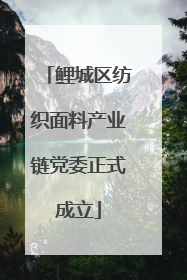 鲤城区纺织面料产业链党委正式成立
