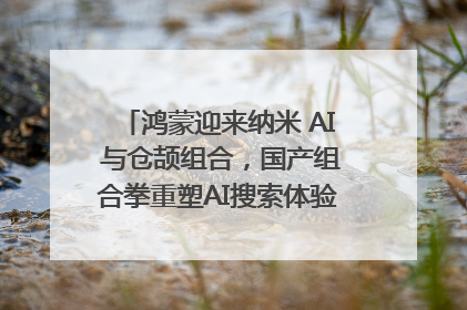 鸿蒙迎来纳米 AI 与仓颉组合，国产组合拳重塑AI搜索体验｜新经济观察
