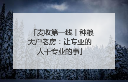 麦收第一线丨种粮大户老房：让专业的人干专业的事