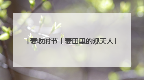 麦收时节丨麦田里的观天人