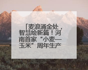 麦浪涌金处，智慧绘新篇！河南首家“小麦—玉米”周年生产无人农场喜迎丰收