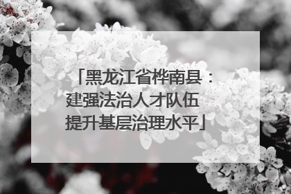 黑龙江省桦南县：建强法治人才队伍 提升基层治理水平