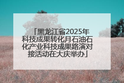 黑龙江省2025年科技成果转化月石油石化产业科技成果路演对接活动在大庆举办