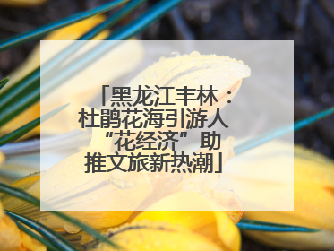 黑龙江丰林：杜鹃花海引游人 “花经济”助推文旅新热潮